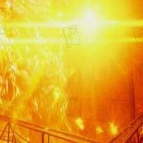 Fotoğraf Danny Boyle