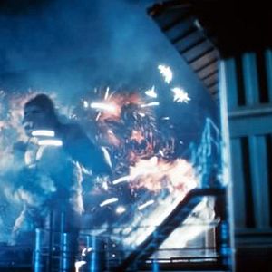 Fotoğraf John Guillermin