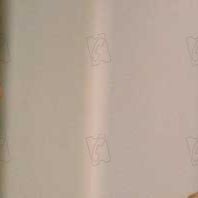 Fotoğraf Stay Alive