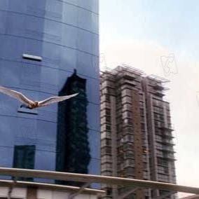 Fotoğraf Ben Foster