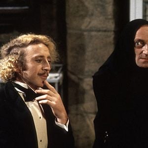 Fotoğraf Mel Brooks