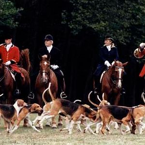 Fotoğraf Jacques Weber