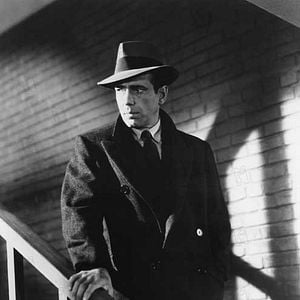 Fotoğraf Malta Şahini