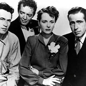 Fotoğraf Malta Şahini