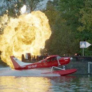 Fotoğraf Wilde Engel