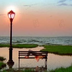 Fotoğraf Sook-Yin Lee