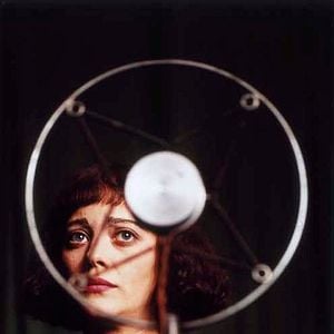 Fotoğraf Kaldırım Serçesi