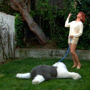 Fotoğraf Richard Day