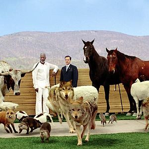 Fotoğraf Aman Tanrım