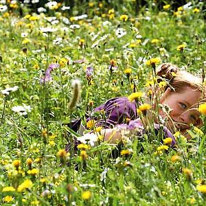 Fotoğraf Arkadaşım Tilki