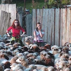 Fotoğraf Maria Popistasu