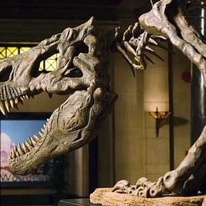 Fotoğraf Müzede Bir Gece