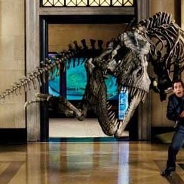 Fotoğraf Shawn Levy