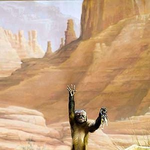 Fotoğraf Müzede Bir Gece