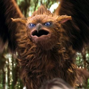 Fotoğraf Gábor Csupó