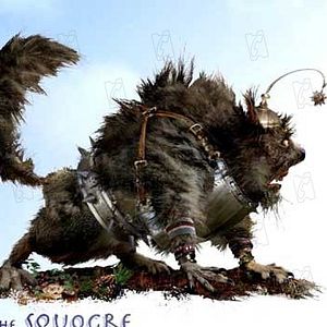 Fotoğraf Gábor Csupó