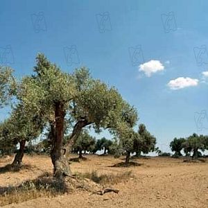 Fotoğraf Marc Recha