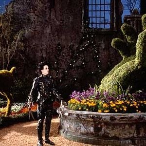 Fotoğraf Johnny Depp