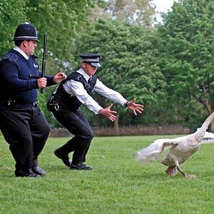 Fotoğraf Sıkı Aynasızlar