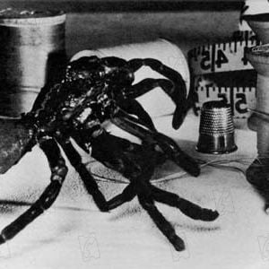 Fotoğraf Kendi Kendine Küçülen Adam