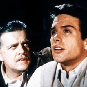 Fotoğraf Splendor in the Grass