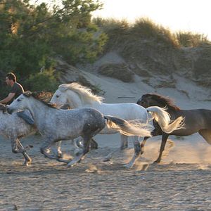 Fotoğraf Valérie Guignabodet
