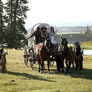 Fotoğraf Djamel Bensalah