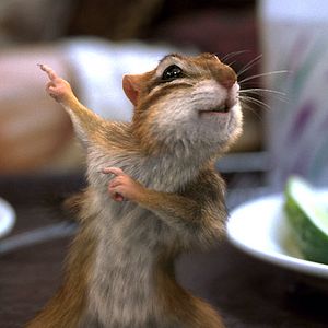 Fotoğraf Kevin Lima