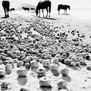 Fotoğraf İvan’ın Çocukluğu