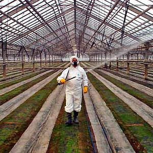 Fotoğraf Nikolaus Geyrhalter