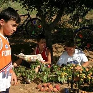 Fotoğraf Yüksel Aksu