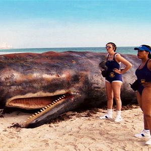 Fotoğraf Niecy Nash