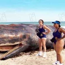 Fotoğraf Niecy Nash