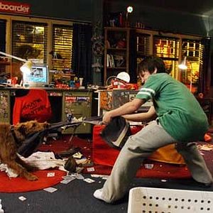 Fotoğraf Firehouse Dog