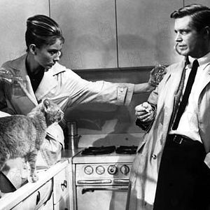 Fotoğraf Blake Edwards