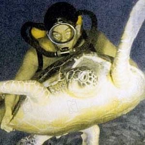 Fotoğraf Jacques-Yves Cousteau