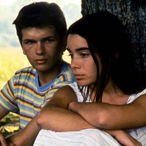 Fotoğraf Wild Reeds