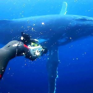 Fotoğraf Rob Stewart