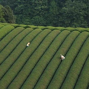 Fotoğraf Machiko Ono