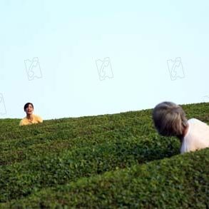 Fotoğraf Naomi Kawase