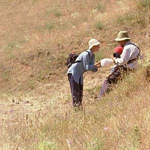 Fotoğraf Jaime Rosales