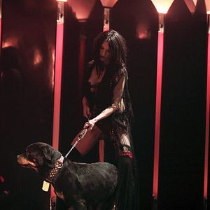 Fotoğraf Abel Ferrara