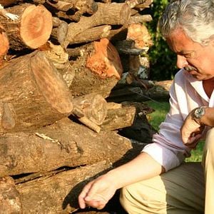 Fotoğraf Andrés Baiz