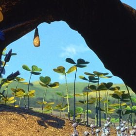 Fotoğraf Bir Böceğin Yaşamı