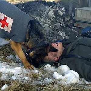 Fotoğraf Danny Lerner