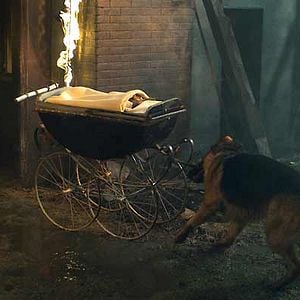 Fotoğraf Danny Lerner