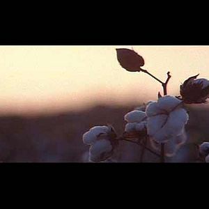 Fotoğraf Shotgun Stories