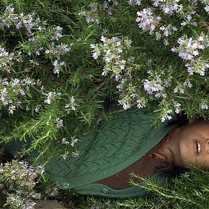 Fotoğraf Elit İşcan