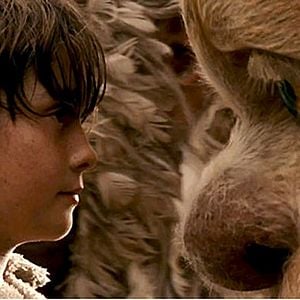 Fotoğraf Spike Jonze