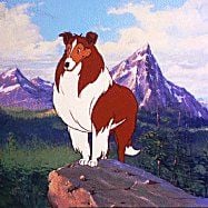 Fotoğraf Lassie's Rescue Rangers